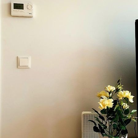 Near Lake Two Bedroom Fully Furnished Apartment Wien Ngoại thất bức ảnh